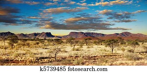 Kalahari Desert, Namibia Kalahari Desert, Namibia