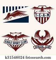 sport team crests set with eagles vector design template