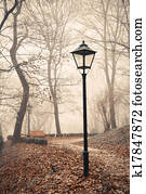 Street lamp in misty autumn forest park Street lamp in misty autumn forest park
