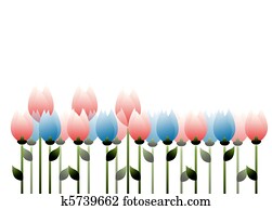 tulips tulips