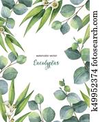 Watercolor vector green floral card with eucalyptus leaves and branches isolated on white background. Watercolor vector green floral card with eucalyptus leaves and branches isolated on white background.
