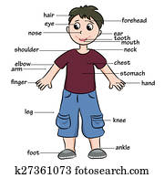 ציור היתולי, child., אוצר מילים, של, גוף