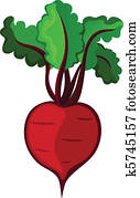 Beetroot Beetroot