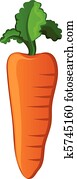 Carrot Carrot