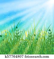 Concept Summer Solstice. Sky, blur, field grass, the lights of a sun Concept Summer Solstice. Sky, blur, field grass, the lights of a sun