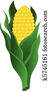 Corn Corn