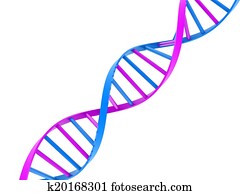 DNA DNA