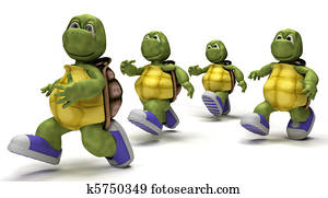 Tortoises running in sneakers Tortoises running in sneakers