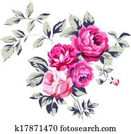 בציר, ורדים ורודים