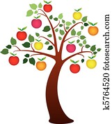 apple tree apple tree