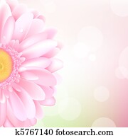 Pink Gerbera