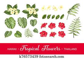 Set of tropical flowers elements. Collection of flowers on a white background Set of tropical flowers elements. Collection of flowers on a white background