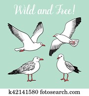 Set with seagulls on isolated white background