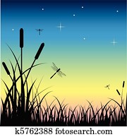 sonnenuntergang, hinüber, dass, sumpf sonnenuntergang, hinüber, dass, sumpf