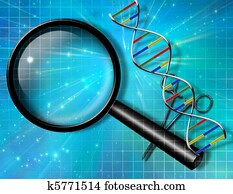 Internet Search Internet Search