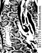 leopard animal skin background leopard animal skin background