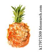 Pineapple Pineapple