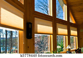 Window Blinds Window Blinds