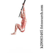 workout - hanging leg raises workout - hanging leg raises