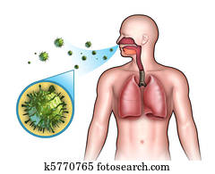 נגיפי, זהום