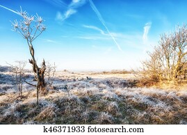 Dutch Coastal Feature