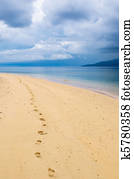 footprints in a tropical beach footprints in a tropical beach