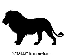 Lion silhouette Lion silhouette