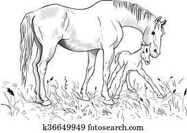 Mare and foal
