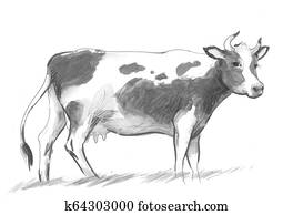 Standing cow Standing cow