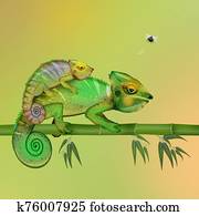 two camouflaged chameleons two camouflaged chameleons