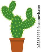 Drole Cactus Images 1000 Drole Cactus Banque De Photos Fotosearch Drole Cactus Images 1000 Drole Cactus Banque De Photos Fotosearch