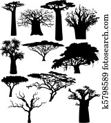 various African trees and bushes