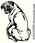 boxer dog black white boxer dog black white