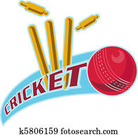 cricket ball bowling wicket cricket ball bowling wicket