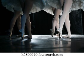 The ballerina The ballerina