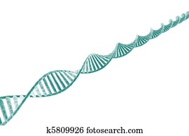 סיב של די.אנ.אי