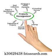 תכונה, ניהול