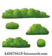 低木の植込み イラストギャラリー 122 低木の植込み アート Fotosearch