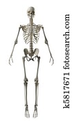 Full Frontal Skeleton Full Frontal Skeleton