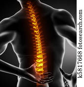 Male Body Backbone Scan Male Body Backbone Scan