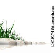 Stones & grass at waters edge