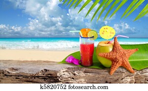 Coconut cocktail starfish tropical beach 