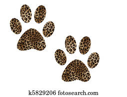 footprints footprints
