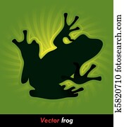 frosch frosch