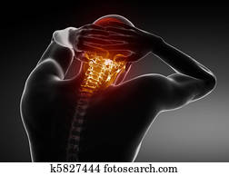 Male Jugular Spine Scan Male Jugular Spine Scan