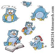 owl owl