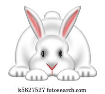 White Easter Bunny Isolated White Background White Easter Bunny Isolated White Background