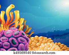 Background scene with coral reef underwater Background scene with coral reef underwater