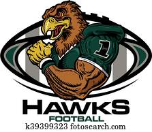 hawks football hawks football
