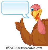 Turkey Turkey